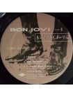 35008248		 Bon Jovi – Keep The Faith	" 	Hard Rock"	Black, 180 Gram, Gatefold, 2 lp	1992	"	Mercury – B0021970-01 "	S/S	 Europe 	Remastered	04.11.2016