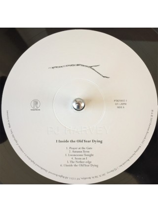 35008261	 PJ Harvey – I Inside The Old Year Dying	" 	Alternative Rock"	2023	" 	Partisan Records – PTKF3032-1"	S/S	 Europe 	Remastered	07.07.2023