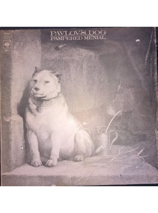 1405176		Pavlov's Dog – Holland		Art Rock, Prog Rock	1976	CBS – CBS 80872, CBS – 80872	NM/NM	 Holland	Remastered	1976