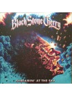 35006606	Black Stone Cherry - Screamin' At The Sky (coloured)	" 	Blues Rock, Hard Rock"	2023	" 	Mascot Records (2) – M77071"	S/S	 Europe 	Remastered	29.09.2023