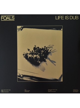 35008289		 Foals – Life Is Dub, Gold, RSD, Limited	" 	Electronic"	Gold, RSD, Limited	2023	"	Warner Records – 5054197405761 "	S/S	 Europe 	Remastered	22.04.2023