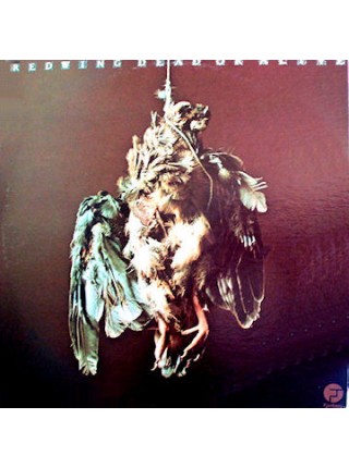 1401561		Redwing ‎– Dead Or Alive	Country Rock	1974	Fantasy F-9459	EX/EX	USA	Remastered	1974