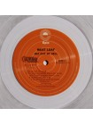 35016054	 	 Meat Loaf – Bat Out Of Hell	" 	Classic Rock"	Clear	1977	" 	Epic – 19439802121"	S/S	 Europe 	Remastered	05.02.2021