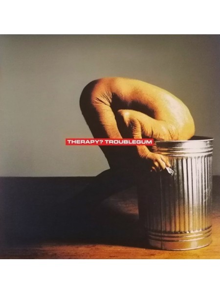 35006113	 Therapy? – Troublegum	" 	Alternative Rock, Indie Rock"	1993	" 	Music On Vinyl – MOVLP2786, A&M Records – MOVLP2786"	S/S	 Europe 	Remastered	08.01.2021