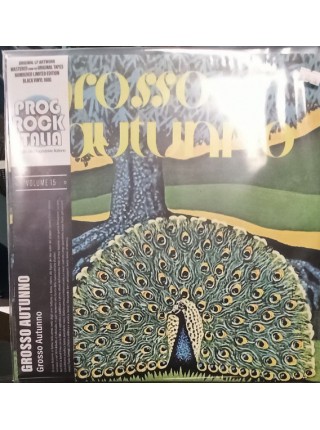 35006751		 Grosso Autunno – Grosso Autunno	" 	Prog Rock"	Black, 180 Gram, Limited	1976	" 	EMI – 602438264445, Universal Music – 602438264445"	S/S	 Europe 	Remastered	07.01.2022