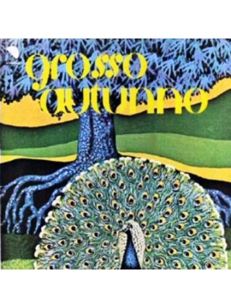 35006751	 Grosso Autunno – Grosso Autunno	" 	Prog Rock"	1976	" 	EMI – 602438264445, Universal Music – 602438264445"	S/S	 Europe 	Remastered	07.01.2022