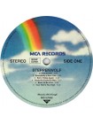 35008654	 Steppenwolf – Steppenwolf	" 	Hard Rock, Psychedelic Rock"	Black, 180 Gram	1968	" 	Music On Vinyl – MOVLP656"	S/S	 Europe 	Remastered	10.01.2013