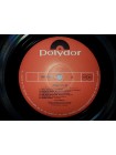 400226	Rubettes..... (Rock, Pop)	 -Wear It's 'At (OBI, jins),	1974/1975,	Polydor - MP 2423,	Japan,	NM/NM