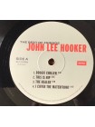 35016744	 	 John Lee Hooker – The Best Of Friends	"	Electric Blues "	Black, Gatefold, 2lp	1998	" 	BMG – 964034671"	S/S	 Europe 	Remastered	12.07.2024