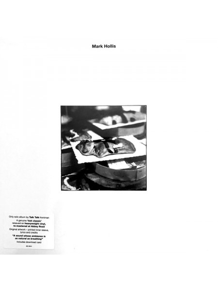 35016708	 	 Mark Hollis – Mark Hollis	"	Post Rock, Acoustic "	Black, 180 Gram	1998	" 	Polydor – 080 288-0"	S/S	 Europe 	Remastered	01.11.2019