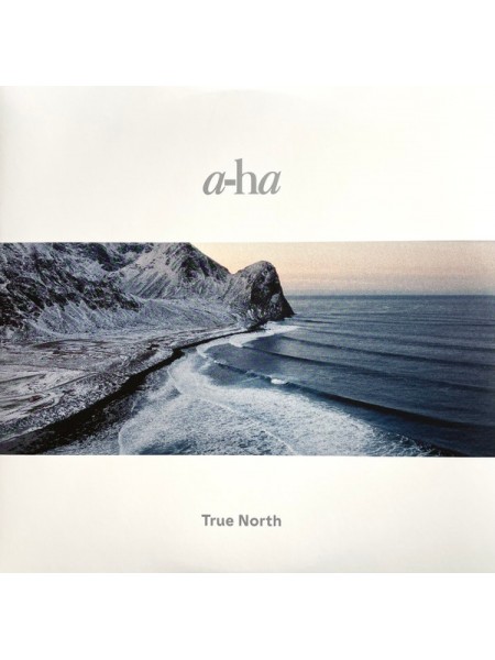 35002675	 a-ha – True North 2lp	" 	Rock, Pop"	2022	" 	Sony Music – 196587083014, RCA – 196587083014"	S/S	 Europe 	Remastered	"	Oct 21, 2022 "