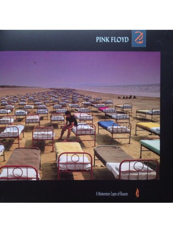 3000125		Pink Floyd – A Momentary Lapse Of Reason	"	Prog Rock"	1987	Pink Floyd Records – 0190295996949	S/S	Europe	Remastered	2017