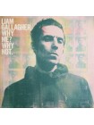 35014190	 Liam Gallagher – Why Me? Why Not.	"	Alternative Rock "	Black, Gatefold	2019	" 	Warner Records – 0190295408398"	S/S	 Europe 	Remastered	20.09.2019