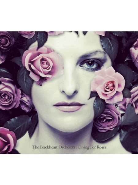 33000167	 The Blackheart Orchestra – Diving For Roses	" 	Prog Rock"	 	2017	" 	Renaissance Records (3) – RDEG-LP-971"	S/S	 Europe 	Remastered	05.11.21