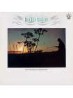 1404772		Bo Hansson – Music Inspired By Watership Down		Electronic, Psychedelic Rock, Prog Rock	1977	Charisma – 9124 015	NM/NM	Germany	Remastered	1977