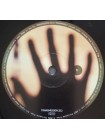 35003903		 Porcupine Tree – Fear Of A Blank Planet 2lp	" 	Prog Rock"	Black, Gatefold	2007	" 	Transmission Recordings – TRANSM 252LP"	S/S	 Europe 	Remastered	2021