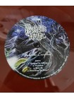 35017302	 	 Psychotic Waltz – Into The Everflow	"	Progressive Metal, Heavy Metal "	Deep Blood Red, 180 Gram, Gatefold, Limited	1992	"	Inside Out Music – IOM695 "	S/S	 Europe 	Remastered	12.07.2024