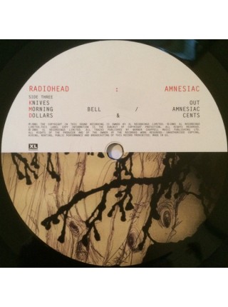 35003631		 Radiohead – Amnesiac  2lp	" 	Electronic, Rock"	Black, Gatefold, 45 RPM	2001	" 	XL Recordings – XLLP783B"	S/S	 Europe 	Remastered	2016