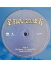 35014643		 Shadow Gallery – Shadow Gallery, 2lp	" 	Prog Rock, Progressive Metal"	Blue, Gatefold, Limited	1992	" 	Cleopatra – CLO 3414, Magna Carta – CLO 3414"	S/S	 Europe 	Remastered	10.02.2023