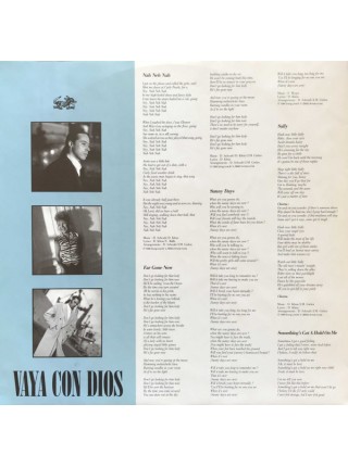 161074	Vaya Con Dios – Night Owls	"	Soul, Chanson, Vocal"	1990	"	Ariola – 210.600, Ariola – 210 600"	NM/EX+	Belgium	Remastered	1990