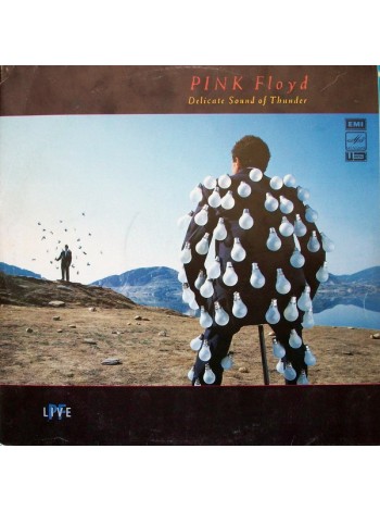 203208	Pink Floyd – Delicate Sound Of Thunder, 2lp			1990	"	Мелодия – А60 00543 007"		EX/NM		Russia