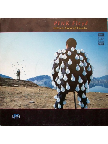 203207	Pink Floyd – Delicate Sound Of Thunder, 2lp			1990	"	Мелодия – А60 00543 007"		EX+/EX+		Russia