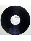 1404871		The Adicts – This Is Your Life		Rock, Punk	1984	Fallout Records – FALL LP 021	NM/NM	England	Remastered	1984