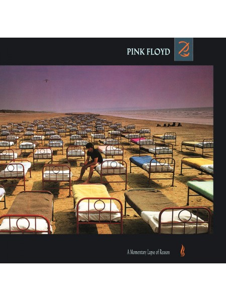 35014329	 Pink Floyd – A Momentary Lapse Of Reason	" 	Prog Rock, Alternative Rock"	Black, 180 Gram, Gatefold	1987	"	Pink Floyd Records – PFRLP13 "	S/S	 Europe 	Remastered	20.01.2017
