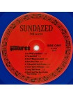 1404909		The Gestures ‎– The Gestures		Garage Rock, Folk Rock	1996	Sundazed Music ‎– LP 5021, Sundazed Music ‎– SUNDAZED LP 5021	S/S	USA	Remastered	1996