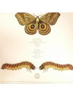 1404889		Elmore Judd ‎– Insect Funk		Electronic, Abstract, Disco, Soul, Experimenta	2007	Honest Jon's Records ‎– HJRLP30	Mint/Mint	England	Remastered	2007