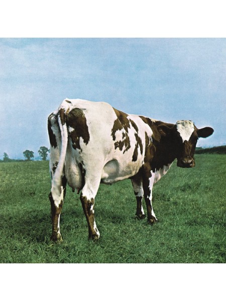 35014724	 	 Pink Floyd – Atom Heart Mother	"	Psychedelic Rock, Prog Rock "	Black, 180 Gram, Gatefold	1970	 Pink Floyd Records – PFRLP5	S/S	 Europe 	Remastered	16.09.2016