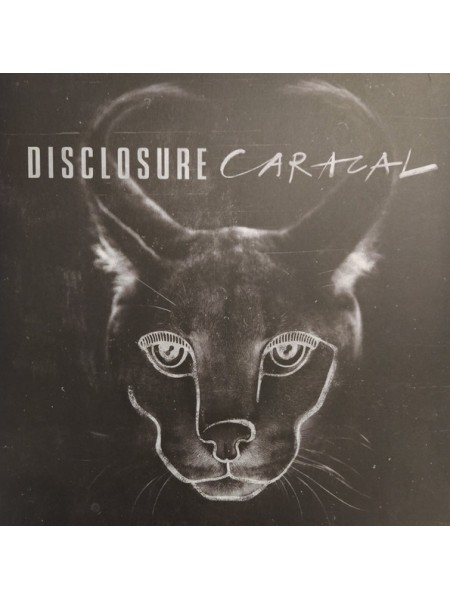 35002819	 Disclosure  – Caracal  2lp	" 	House, UK Garage"	2015	" 	PMR Records (2) – PMR068, Island Records – 00602435436326"	S/S	 Europe 	Remastered	19.03.2021