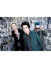 98018	Золотая реплика музыкального альбома	Green Day - American Idiot   ( При заказе любых 3 шт. цена 5 000 руб.)