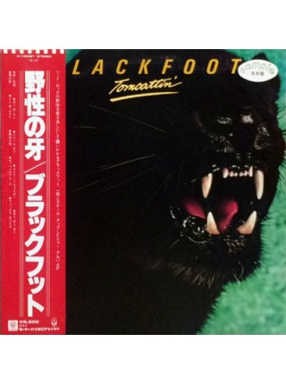 1401018	Blackfoot ‎– Tomcattin'   Promo Copy    (no OBI)	1980	ATCO Records – P-10838T 	NM/NM	Japan