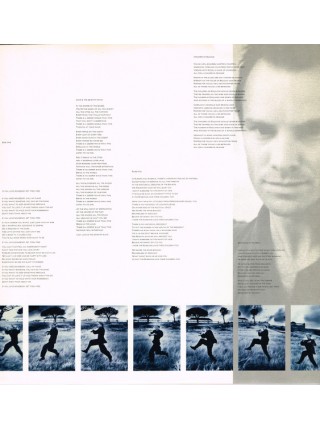 1200149	Sting – The Dream Of The Blue Turtles	"	Pop Rock, Vocal" 	1985	"	A&M Records – DREAM 1"	NM/EX+	England