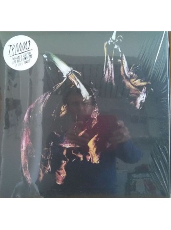 1403846		Traams – Grin	Post-Punk, Experimental	2013	FatCat Records – FATLP122	M/M	England	Remastered	2013