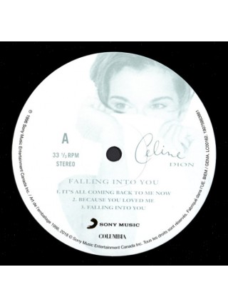 35007852	 Celine Dion – Falling Into You, 2 lp	" 	Ballad, Vocal, Europop"	Black	1995	" 	Columbia – 19075863861, Sony Music – 19075863861"	S/S	 Europe 	Remastered	11.10.2018