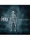 35012904	 Gojira  – The Way Of All Flesh, 2lp	"	Death Metal, Experimental, Heavy Metal "	 Gold, Gatefold	2008	 Listenable Records – POSH194	S/S	 Europe 	Remastered	29.01.2016