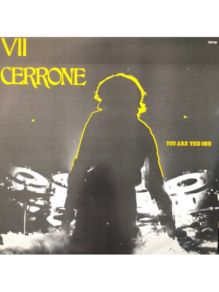 1403880		Cerrone – Cerrone VII - You Are The One, Poster	Electronic, Disco	1980	Malligator – ZL 37.449, Malligator – ZL 37 449	 EX/VG+	France	Remastered	1980
