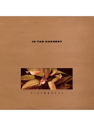 1402205		In The Nursery – Stormhorse	Electronic, Modern Classical, Industrial, Ambient	1987	Sweatbox – SAX 021	NM/EX	England	Remastered	1987