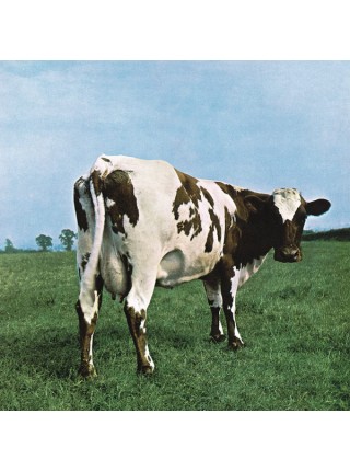 35085500	 Pink Floyd – Atom Heart Mother	 	" 	Psychedelic Rock, Prog Rock"	Black, 180 Gram, Gatefold	1970	"	Pink Floyd Records – PFRLP5"	S/S	 Europe 	Remastered	16.09.2016