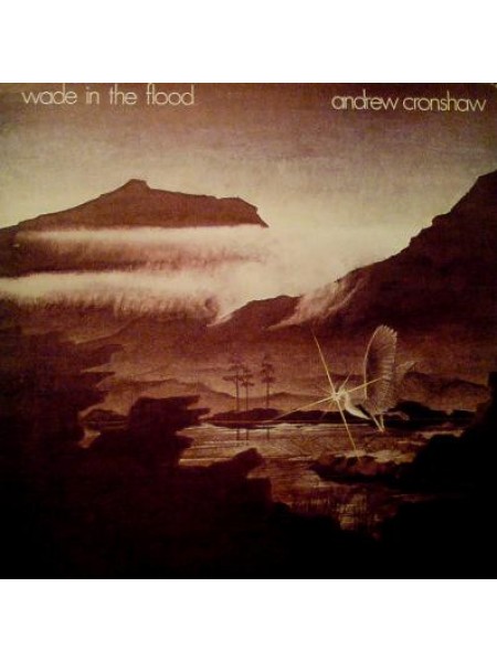 1400026		Andrew Cronshaw ‎– Wade In The Flood	Electronic, Folk	1978	Transatlantic Records ‎– LTRA 508	NM/EX	UK	Remastered	1978