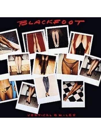 1401408		Blackfoot – Vertical Smiles	Southern Rock, Hard Rock 	1984	ATCO Records – 790 218-1	NM/EX	Europe	Remastered	1984