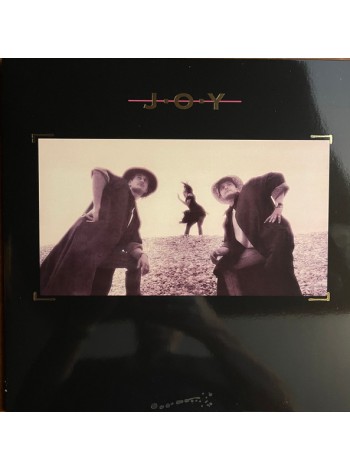 4400057		Joy  – Joy		"	Synth-pop, Disco"	1989	" 	Maschina – LPMSCN201"	S/S	 Europe 	Remastered	2023	BLACK