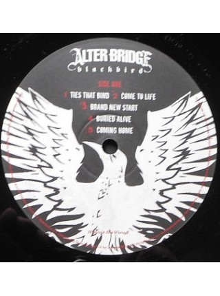 35007288		 Alter Bridge – Blackbird + singl	" 	Alternative Rock, Hard Rock"	Black, 180 Gram, Gatefold, Etched	2007	" 	Universal Music – MOVLP792, Music On Vinyl – MOVLP792"	S/S	 Europe 	Remastered	09.03.2017