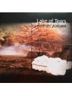 1700057		Lake Of Tears – Forever Autumn	"	Doom Metal, Gothic Metal"	1999	"	The Circle Music – TCM020LP"	S/S	"	Greece"	Remastered	2022	ORANGE/BLACK