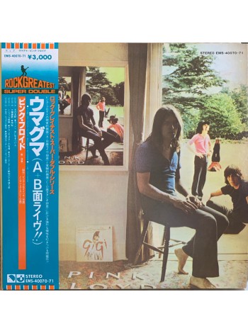 1404516		Pink Floyd - Ummagumma	2 LP, Obi - копия	Prog Rock	1968	EMI ‎– EMS-40070·71, Harvest ‎– EMS-40070·71	NM/NM	Japan	Remastered	1978