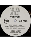 1401524	Shiva Affect ‎– Yahweh	Electronic, Post Rock, Minimal	1993	Frog ‎– CROAK3	NM/NM	England