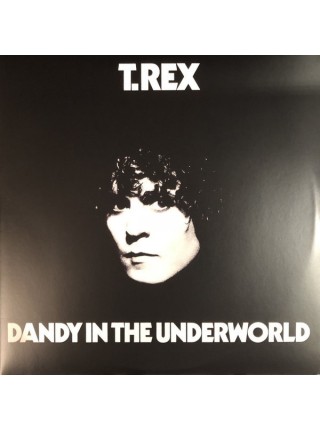 35007395		 T. Rex – Dandy In The Underworld	 Pop Rock, Glam	Clear, 180 Gram	1977	" 	Demon Records – DEMREC641"	S/S	 Europe 	Remastered	07.02.2020