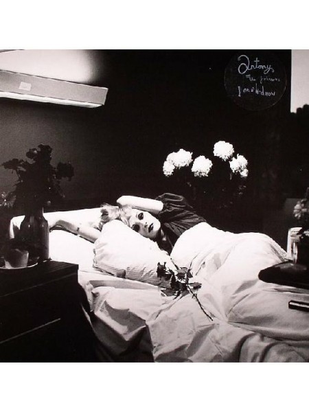 35017130	 	 Antony And The Johnsons – I Am A Bird Now	Art Rock, Glam 	Black	2005	" 	Rough Trade – RTRADLP 223"	S/S	 Europe 	Remastered	26.08.2016